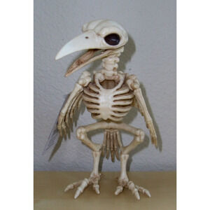 RAVEN BIRD SKELETON SPOOKY BONEZ DEAD ANIMAL PROP DECORATION NEW